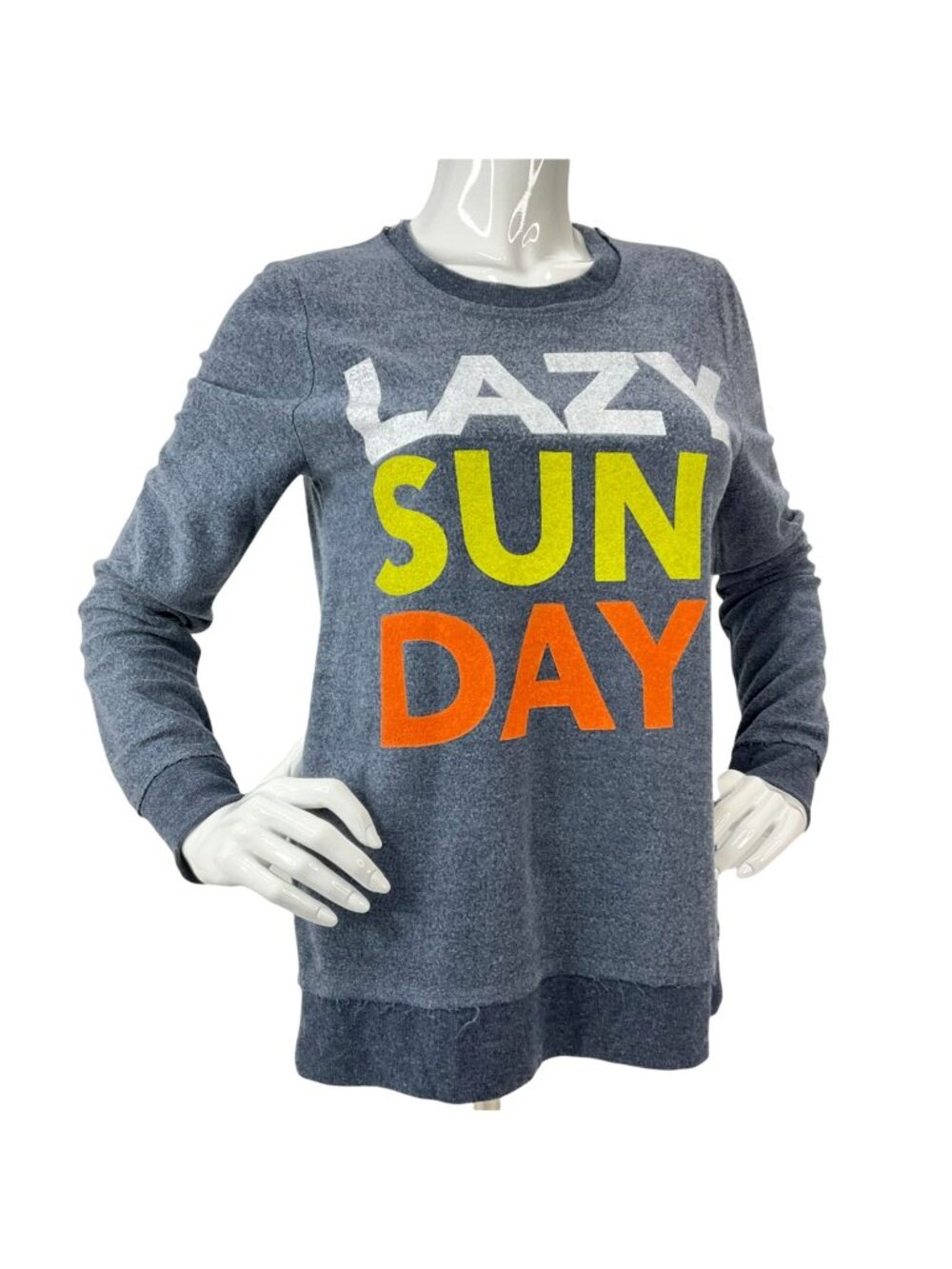 Chaser Shirt Womens Size S Blue Graphic Lazy Sun Day Revolve Luxury Soft Nwt $99